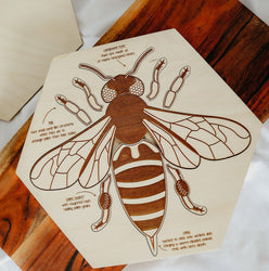 厂价批发蜜蜂解剖结构木质多层拼图儿童学习识别动物玩具礼品